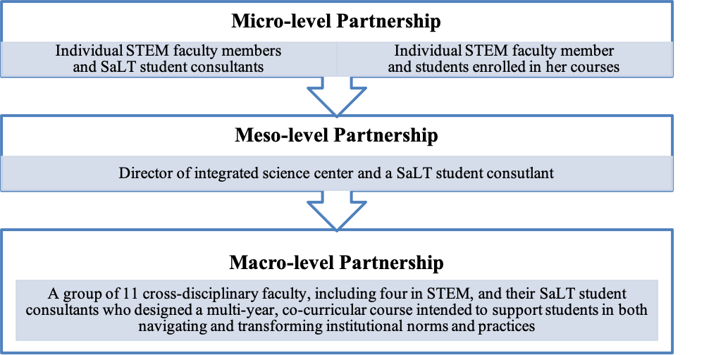 Figure 1: Micro-, Meso-, and Macro-Level Pedagogical Partnerships