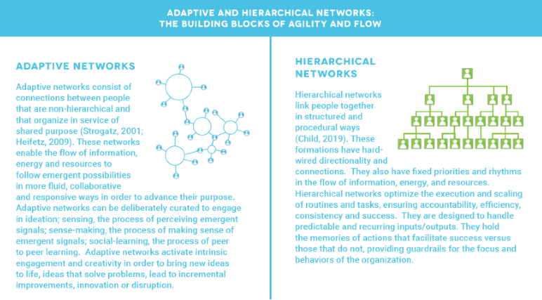 Figure 2a: The Hierarchical and Adaptive Networks