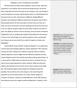 Image of the first page of a student essay with comments from the instructor