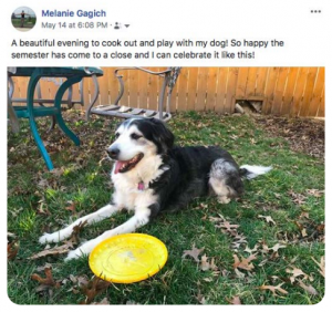 A screenshot of a post on Facebook of a dog sitting in the grass next to a frisbee. The text from the post reads, "A beautiful evening to cook out and play with my dog! So happy the semester has come to a close and I can celebrate it like this!"
