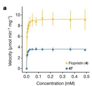 Summary of VatA acetylation kinetics and in vitro inhibition of the E. coli ribosome by 4 and 47. Error bars denote s.d. (3 technical replicates).