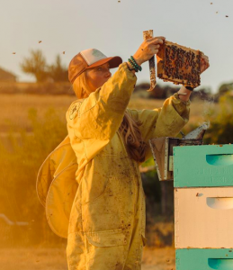 Sarah Red-Laird in full bee suit and trucker hat holds up bee frame next to stack of hives in a field