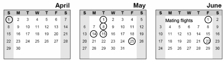Sample calendar pages April, May, June