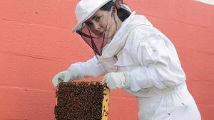 Beekeeper in full bee suit holds up bee frame against a pink/orange wall