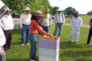Marla Spivak in orange stands over beehives outside as onlookers observe