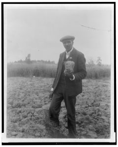 George Washington Carver standing in field, probably at Tuskegee, holding piece of soil
