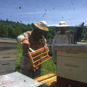 Kirk Webster holds bee frame with bees flying above head