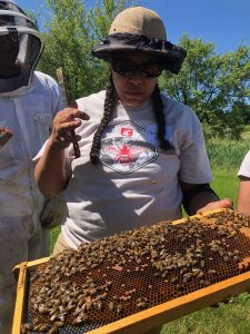 New Mexico-based beekeeper Melanie Kirby holds a top bar frame of honey bees in the field with an onlooker in full bee suit behind her