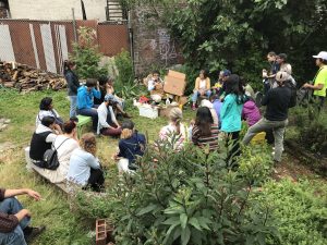 People of varying ages gather around outside for bee education