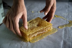 Hands framing dripping raw honeycomb