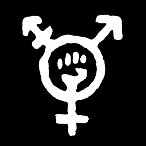 A white Transfeminist Symbol is against a black background. The symbol is the woman symbol with a power fist in the middle and an arrow emerging on the left and right sides of the circle.
