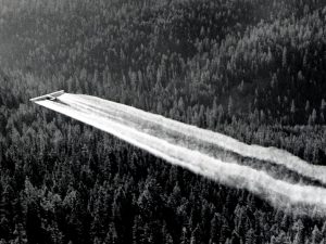 1955. Fort tri-motor spraying DDT. fir the Western spruce budworm control project. Powder River control unit, Oregon.