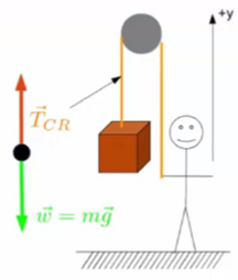 The free body diagram for a block suspended by a rope.