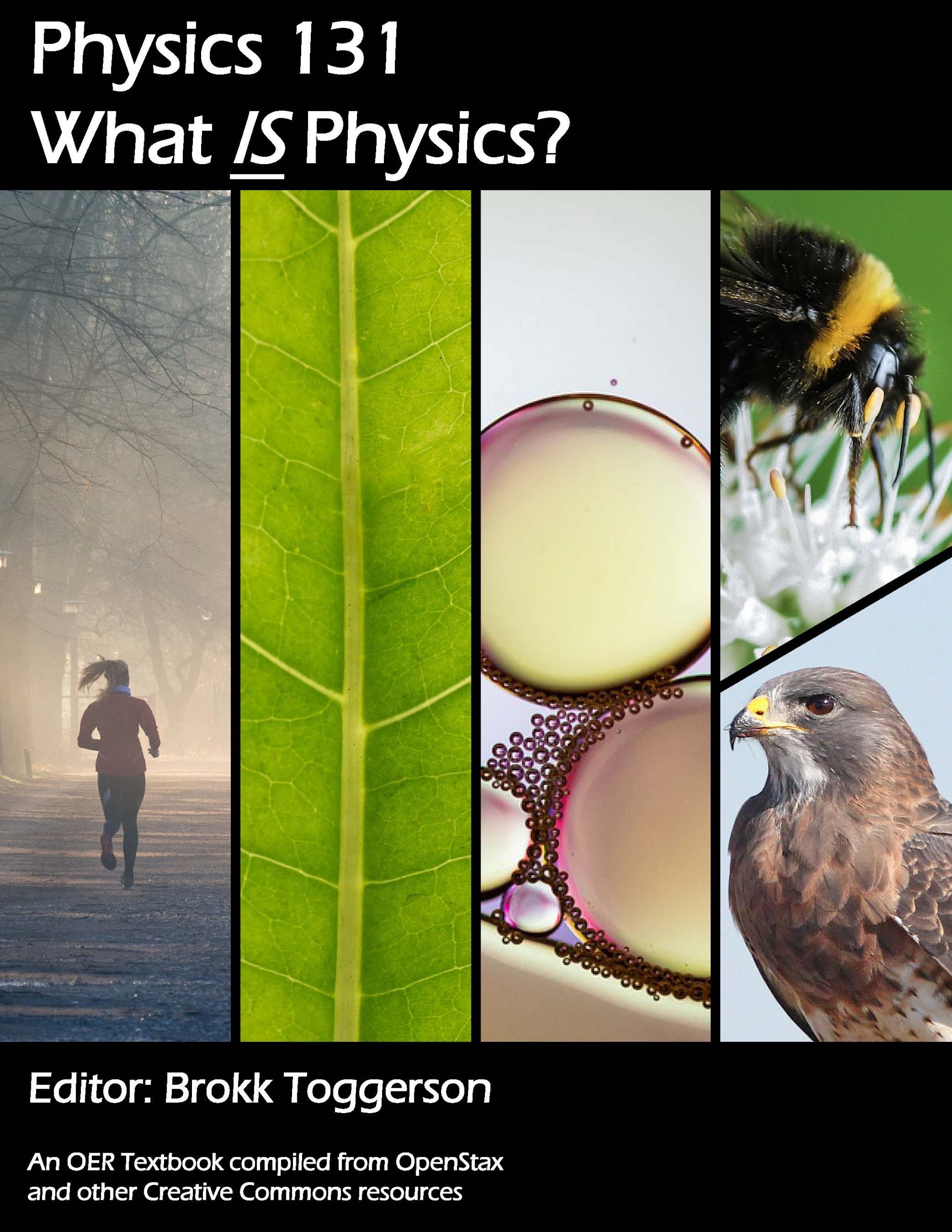 Cover image for Physics 131: What Is Physics?