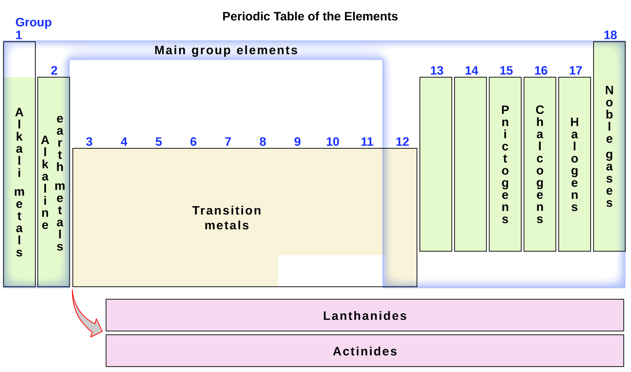 This diagram combines the groups and periods of the periodic table based on their similar properties. Group 1 contains the alkali metals, group 2 contains the earth alkaline metals, group 15 contains the pnictogens, group 16 contains the chalcogens, group 17 contains the halogens and group 18 contains the noble gases. The main group elements consist of groups 1, 2, and 12 through 18. Therefore, most of the transition metals, which are contained in groups 3 through 11, are not main group elements. The lanthanides and actinides are called out at the bottom of the periodic table.