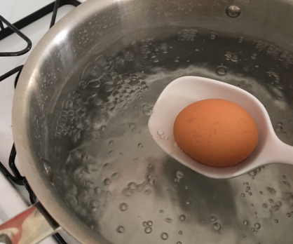 An egg boiling in water