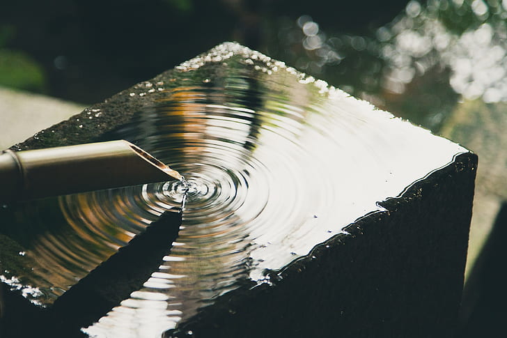 Water dripping from a trough creates circular waves in still water.