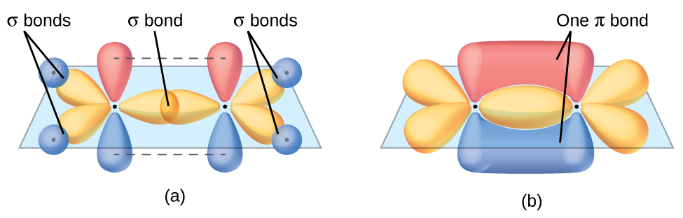 Hybridization of atomic orbitals into molecular orbitals.