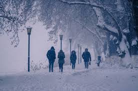 people in snow