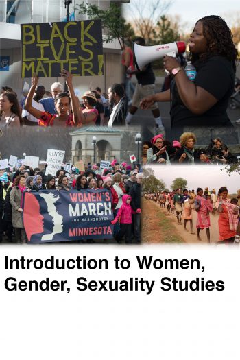 Cover image for Introduction to Women, Gender, Sexuality Studies