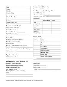 Hive Inspection Sheet – Radicalize the Hive