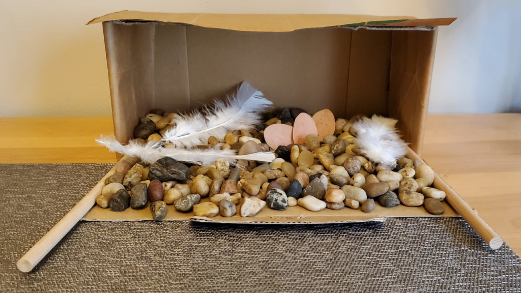 Shoebox diorama of peregrine falcon nest box with gravel, feathers, eggs, and dowels for perches.