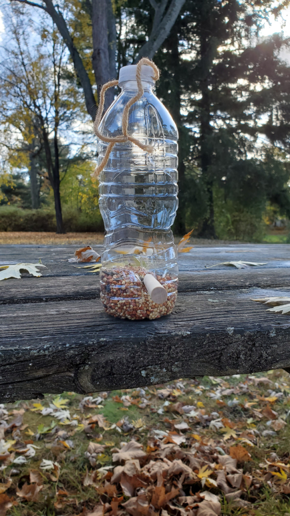 Bird feeder made out of plastic bottle and wooden dowel for perch.