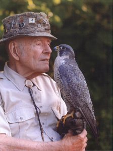 Professor Heinz Meng in a tweed bucket hat holding a Peregrine Falcon in his left gloved hand. The man, named Professor Heinz Meng is looking into the eyes of the Peregrine Falcon.