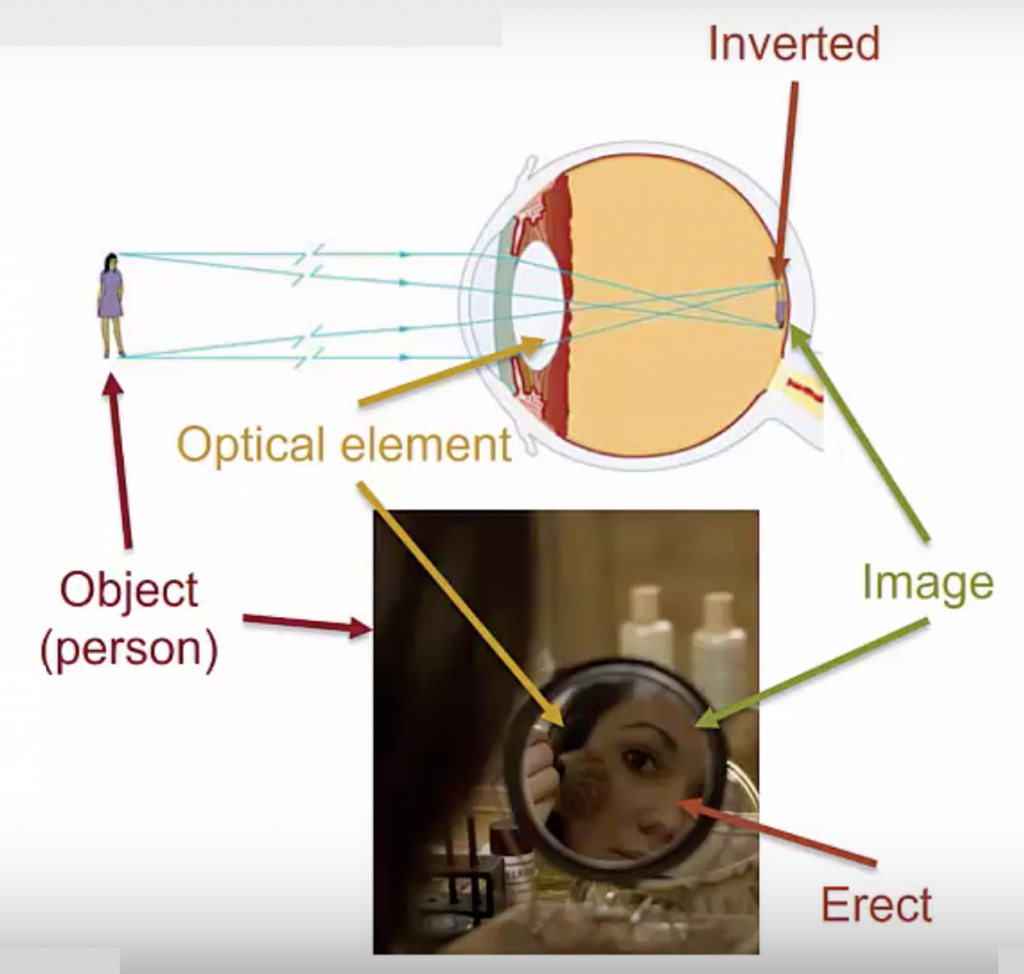 Producing Images with Geometric Optics Physics 132 What is an
